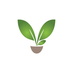 leaf logo vector ilustrations