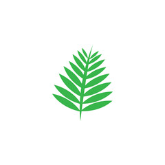 leaf logo vector ilustrations