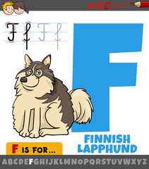 letter F from alphabet with Finnish lapphund purebred dog