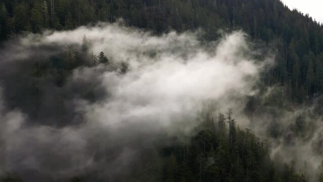 Canadian Mountain Landscape Covered in Clouds. Aerial Nature Background. Vancouver Island, BC, Canada.