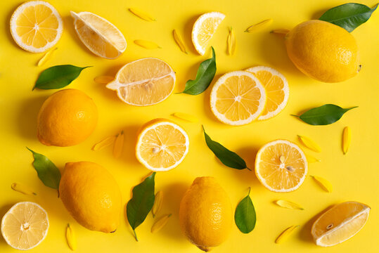 Background texture of fresh lemons with green leaves and flower petals, yellow on yellow