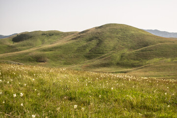 hills covered with grass, Montenegro, Europe, Durmitor