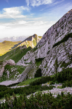 Montenegro, Europe, Prutas, Durmitor