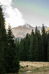 Widok na Błyszcz z Hali Ornak w Dolinie Kościeliskiej, w Tatrach Zachodnich, Zakopane, Kościelisko, Tatrzański Park Narodowy, droga, szlak