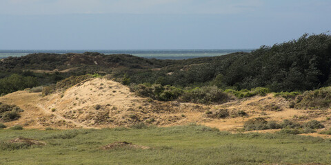 the dunes of `De Westhoek` nature reserve, De Panne, Belgium