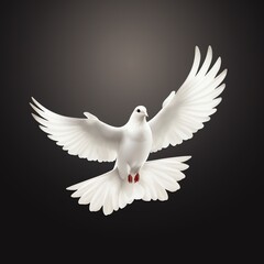 a white dove flying in the sky