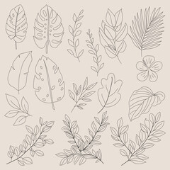 Trees leaf line art design for kids coloring book