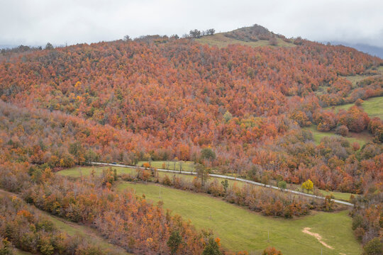 Fall foliage in Italian appenines.
