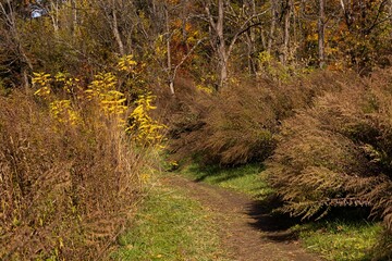 Fall day at the park