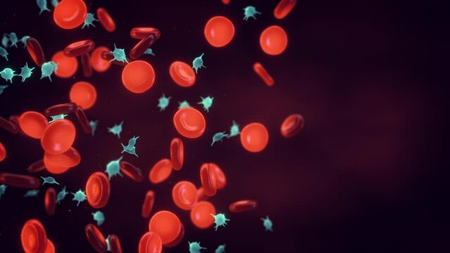 Red blood cells (Erythrocytes) and platelets (Thrombocytes). Platelets are blood cells whose function is fixing blood vessel damage by forming blood clots