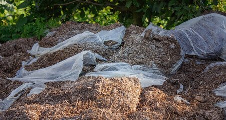 Heap of compost fertilizers from mushrooms.