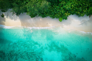 Drone bird eye view at Anse solei beach, white sandy beach, turquoise and calm sea and trees, Mahe Seychelles 5