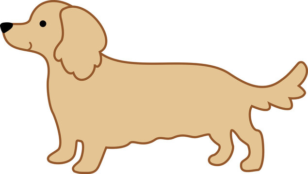 Dachshund dog in the cream long-haired color icon.