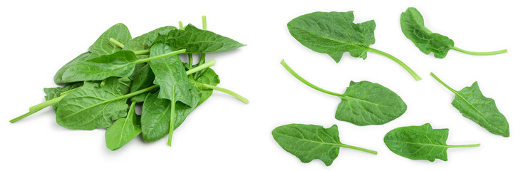 Obraz premium fresh spinach isolated on white background clouseup