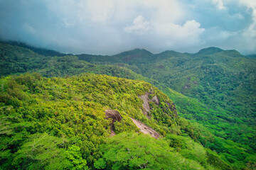 Drone shot from tea factory, the lush vegetation of the morn Seychellois national park, cloudy sky, Mahe Seychelles