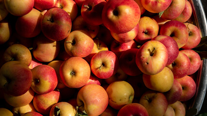 a bunch of apples , background of red apples , fruit in dramatic light