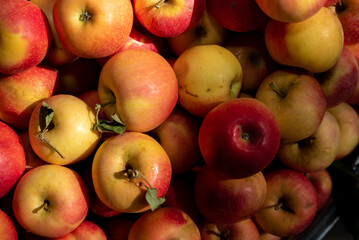 a bunch of apples , background of red apples , fruit in dramatic light