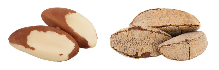 Brasil nuts isolated on white background with  full depth of field