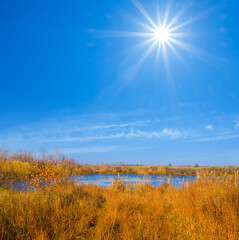 Fototapeta premium small blue lake with reed on coast at the sunny day