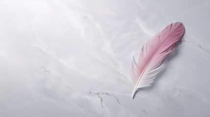 feather on marble background with space for text.