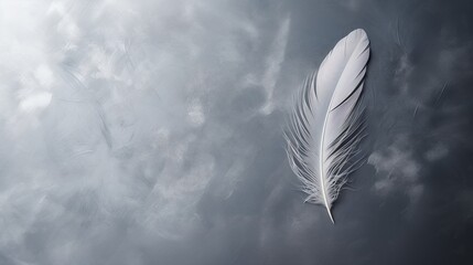 feather on marble background with space for text.