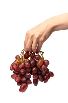 A sprig of red grapes in woman hands isolated on a white background.