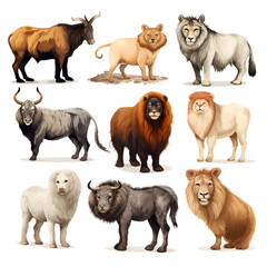 Chinese zodiac animals isolated on white background, png