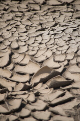 DRY TEXTURE AMAZON RIVER