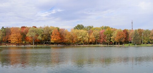 Parc des castors - Montréal 