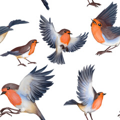 Seamless pattern of watercolor Robin bird