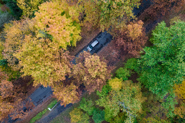 Aerial view on road in autumn forest
