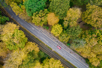 Aerial view: red car on a road crossing autumn park