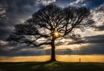 Naklejka premium atmospheric sunrise scenario with a cloudy sky and a huge tree