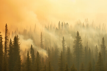 Burning Woodland: Forest Ablaze in Wildfire Smoke