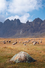 A big rock on an Andean field with sheep grazing and a big mountain in the background