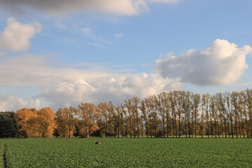 Herbstliche Spreeniederung; Stille Oberlausitzer Landschaft bei Bautzen