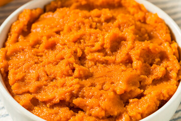 Organic Raw Orange Pumpkin Puree