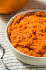 Organic Raw Orange Pumpkin Puree