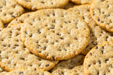 Homemade Whole Wheat Round Crackers