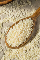 Raw Dry White Arborio Rice