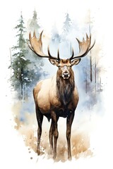Portrait of a moose (elk) in watercolor style