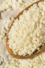 Raw Dry White Arborio Rice