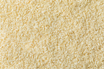 Raw Dry White Arborio Rice