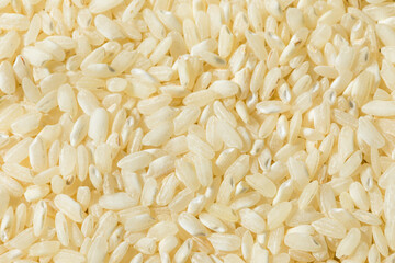 Raw Dry White Arborio Rice
