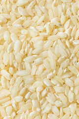 Raw Dry White Arborio Rice