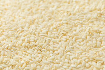 Raw Dry White Arborio Rice