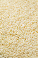 Raw Dry White Arborio Rice