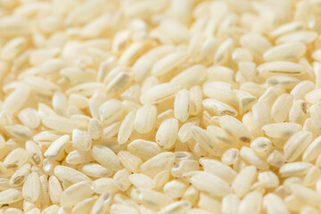 Raw Dry White Arborio Rice
