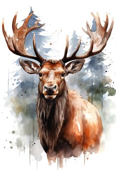 Portrait of a moose (elk) in watercolor style