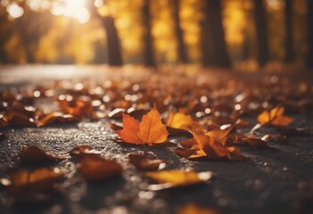 Autumn leaves lying on the floor - obrazy, fototapety, plakaty